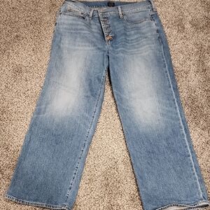 J. Crew Light Blue wide leg full length  Jeans size 34